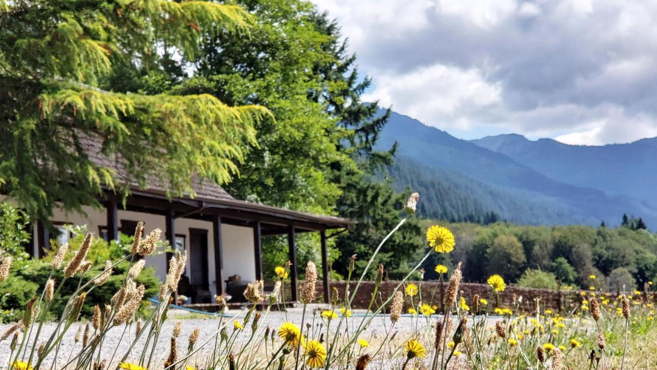Paradise Village Ashford Dış mekan fotoğraf